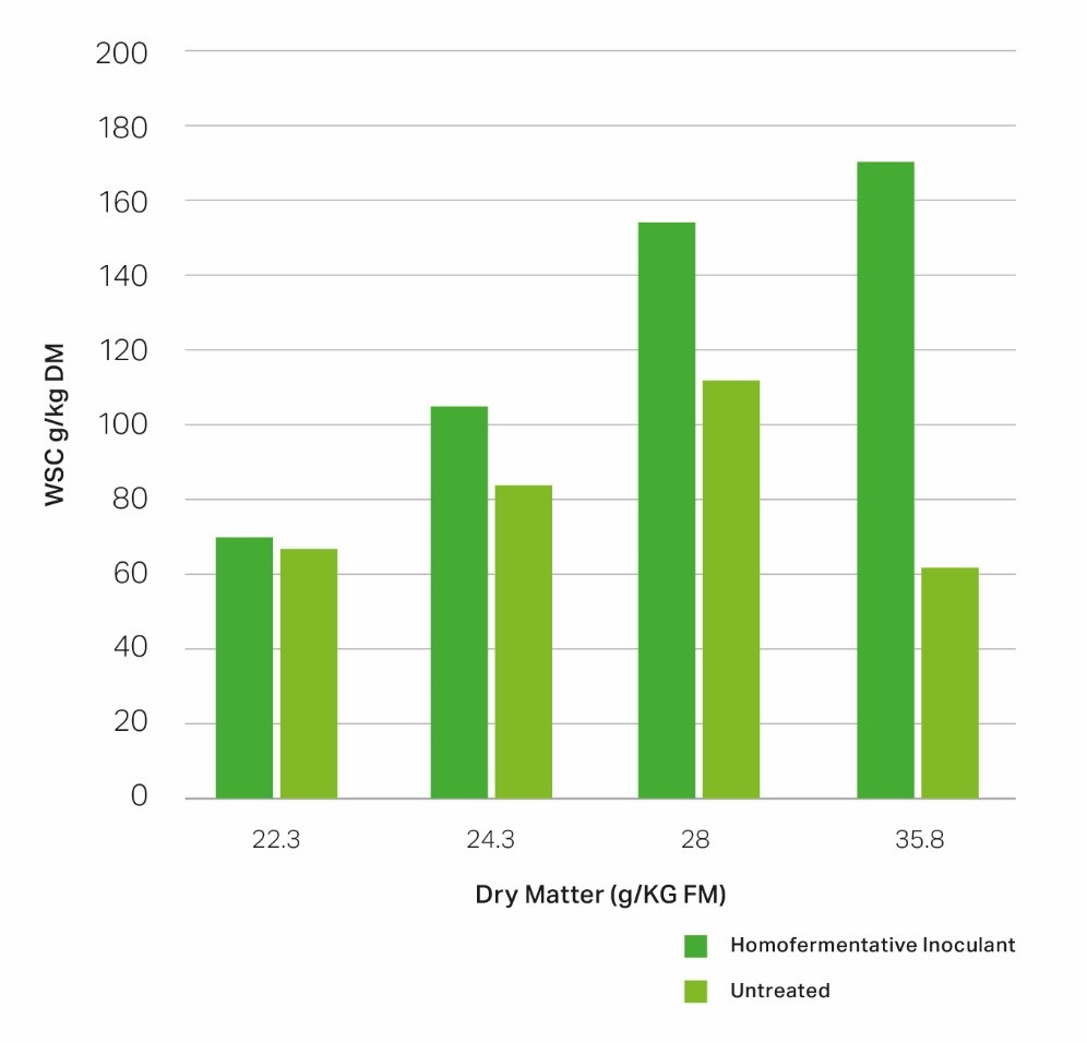 A chart showing the effect of dry matter (DM) at ensiling on water soluble carbohydrate content (WSC) in grass.