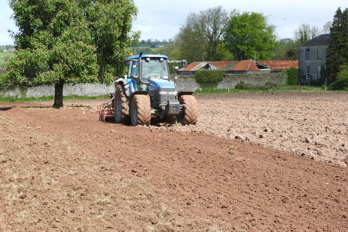 Reseeding grassland: Seasons, soil and sowing
