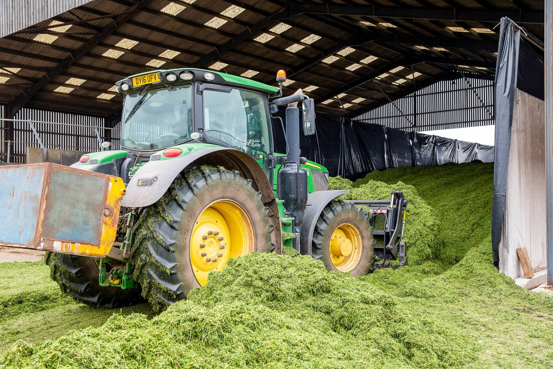 silage production