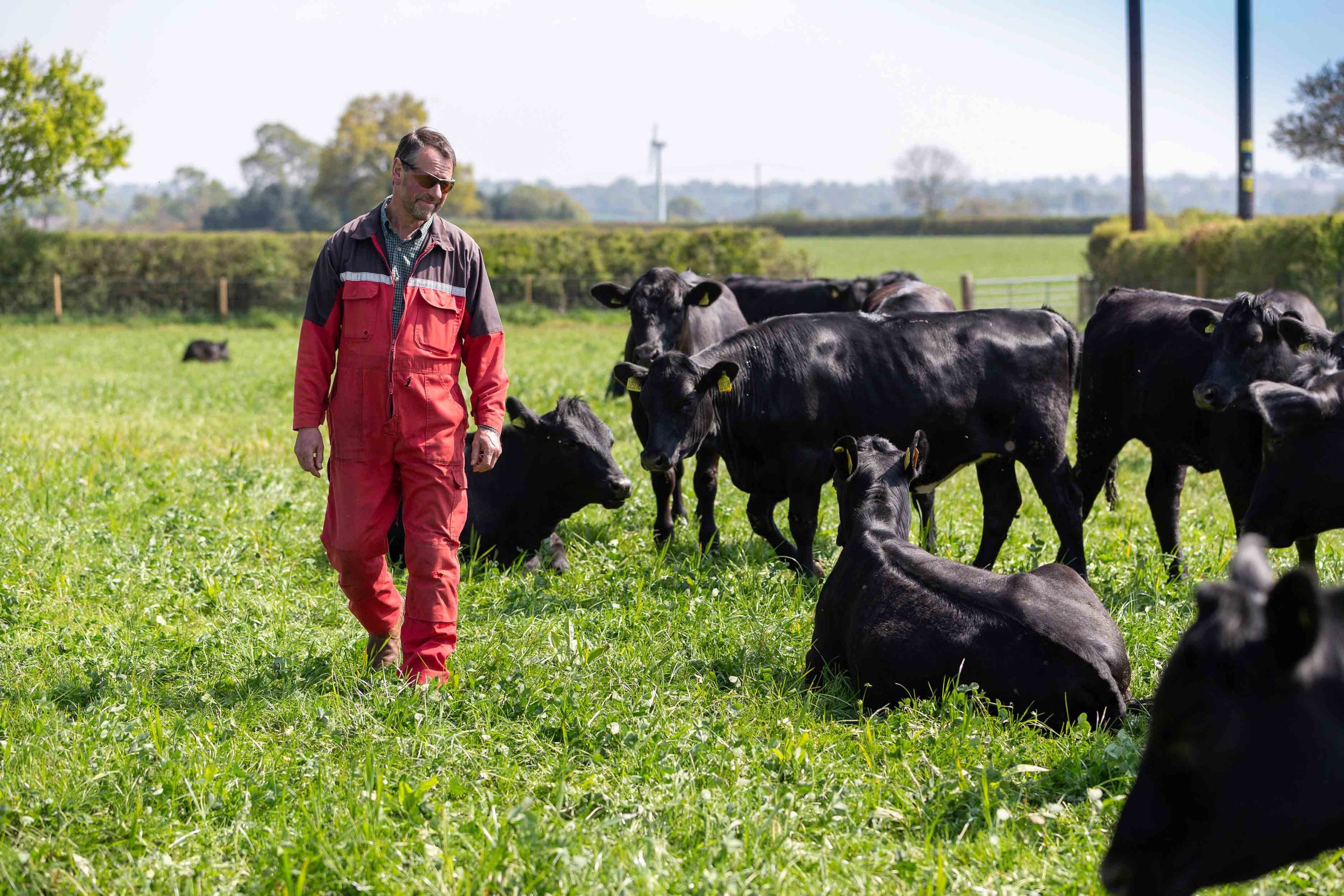 Herbal leys transform beef production for Julian Bowers