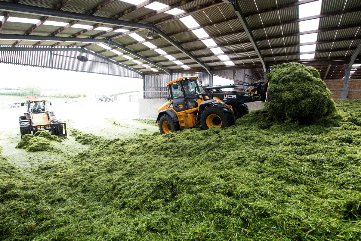How to make grass silage 