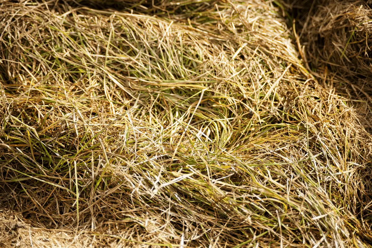 How to make grass silage 