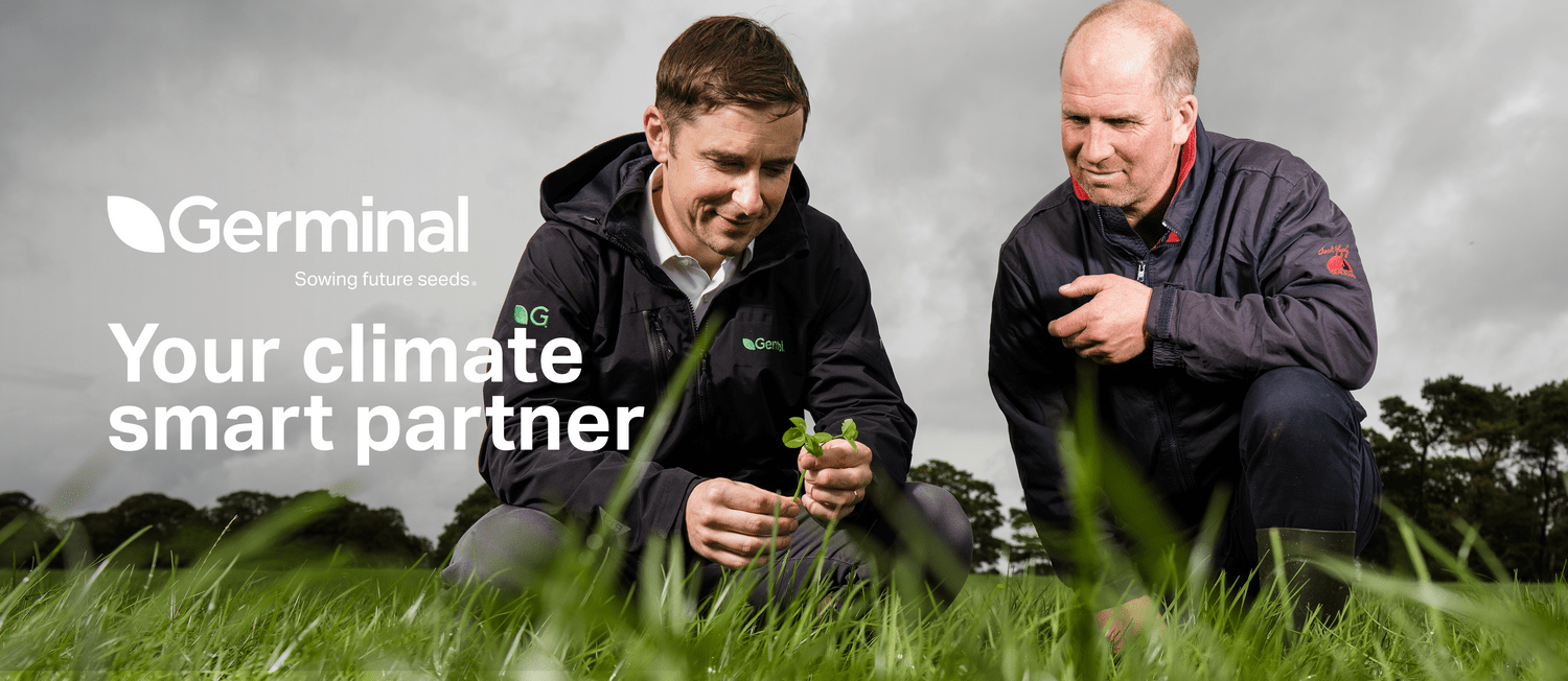 germinal climate smart grass and forage
