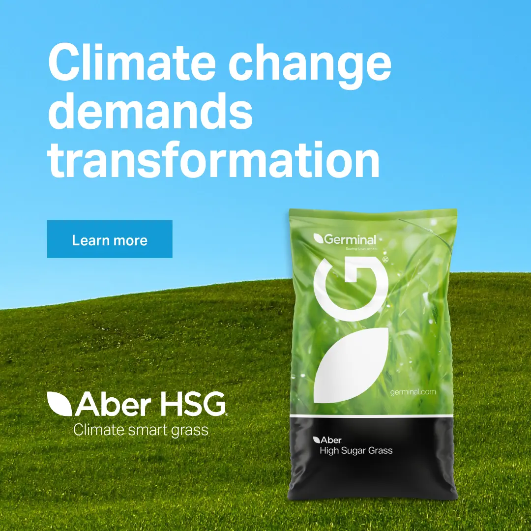 Germinal's Aber High Sugar Grass provides highly productive, climate smart grass for farmers