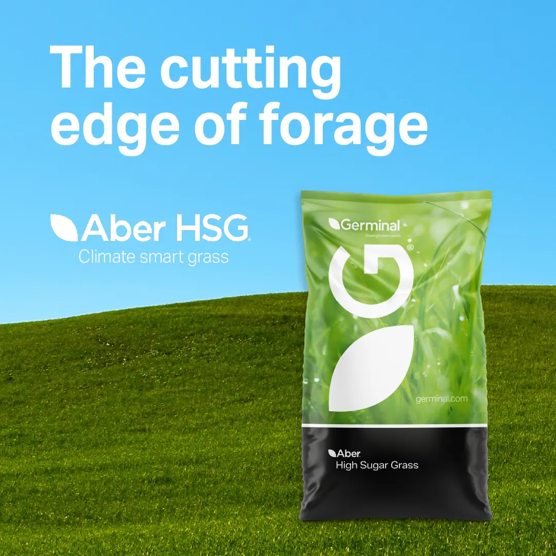 Aber High Sugar Grass is a range of climate smart grass that delivers highly productive, high-quality homegrown forage
