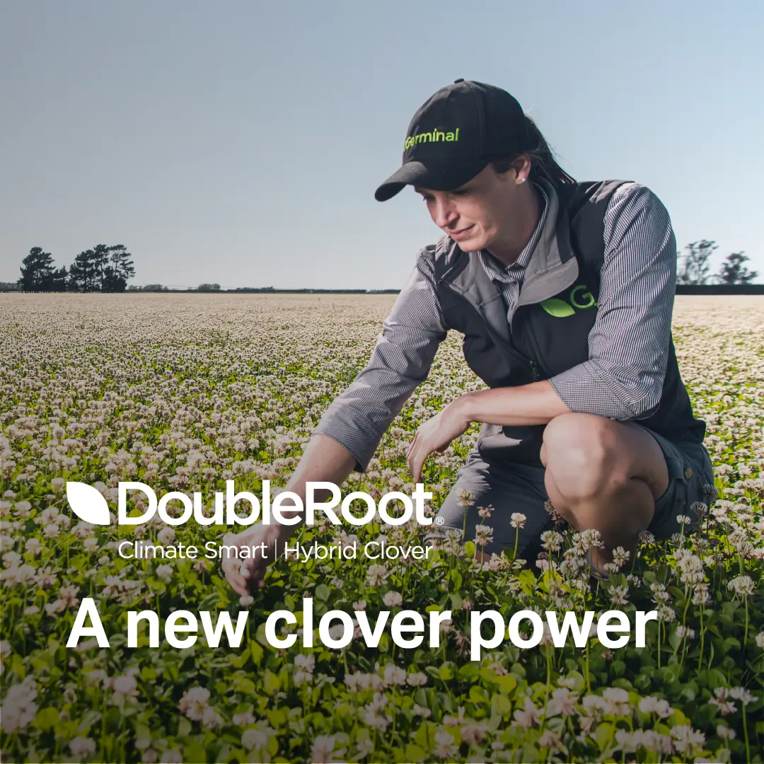 DoubleRroot hybrid clovers are developed by Germinal to provide the agricultural industry with highly resilient, climate smart forage