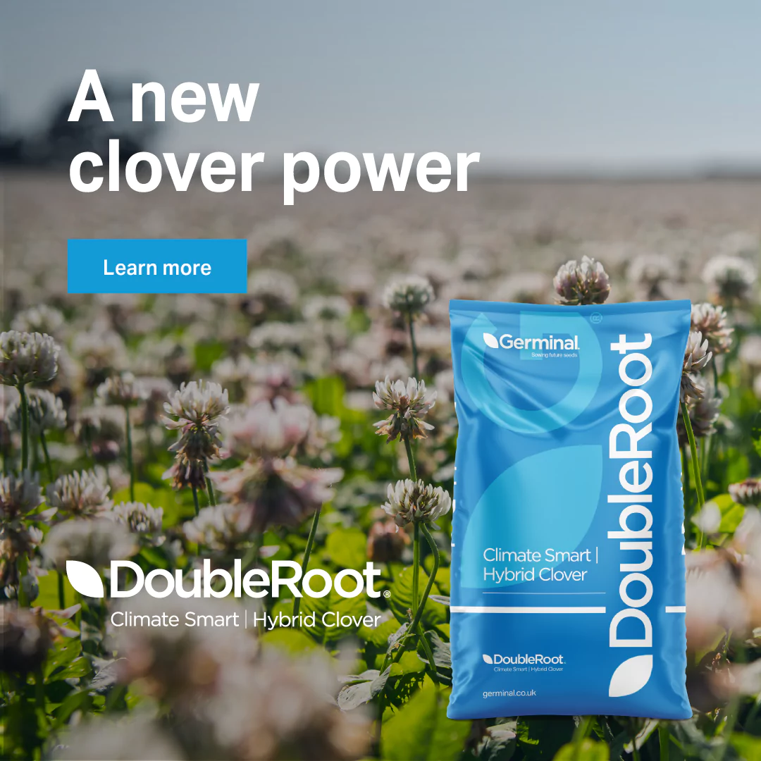 DoubleRoot hybrid clover from Germinal