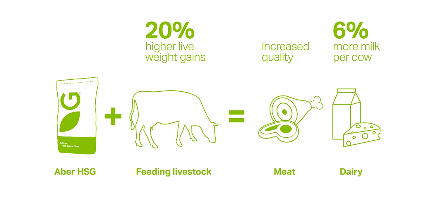how aber hsg reduces livestock emissions