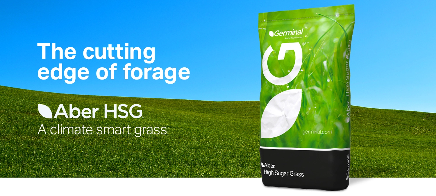 aber high sugar grass from germinal