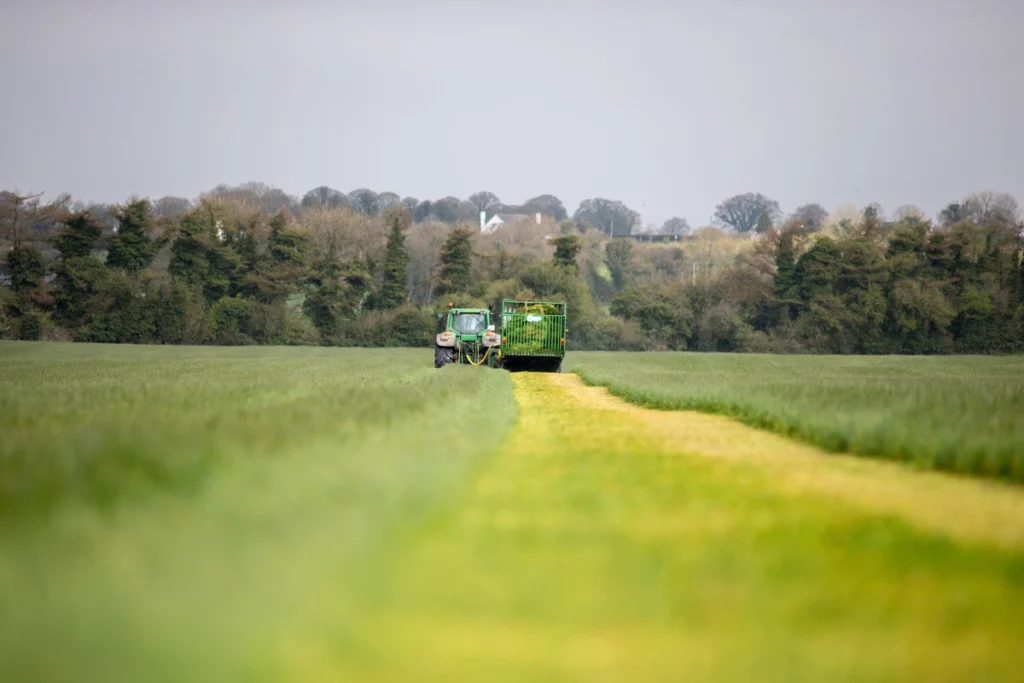 A tractor collecting cut forage in a zero grazing system.