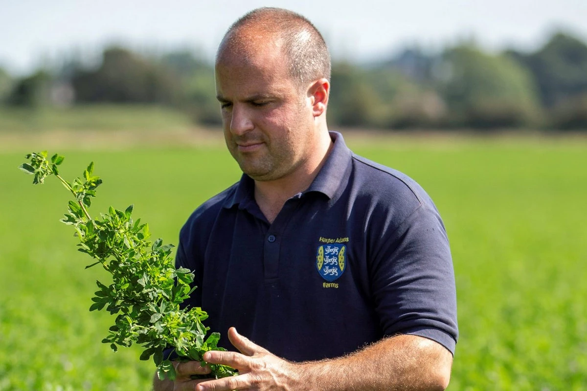 Why nitrogen fixing legumes are a solution to input costs 