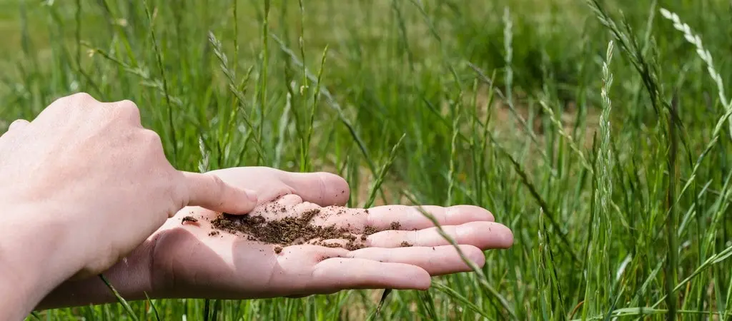 How to improve soil fertility
