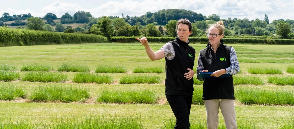 AberSevern tops 2023/24 RGCL for grazing yield and quality