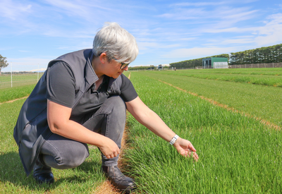 A researcher crouching in a field at Germinal Horizon broadfield in New Zealand.