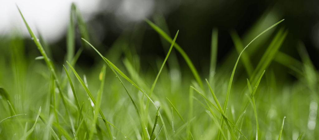 Climate smart reseeding