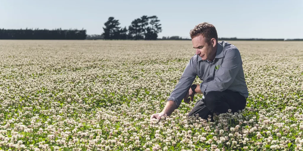 A Germinal expert in a field of DoubleRoot hybrid clover.