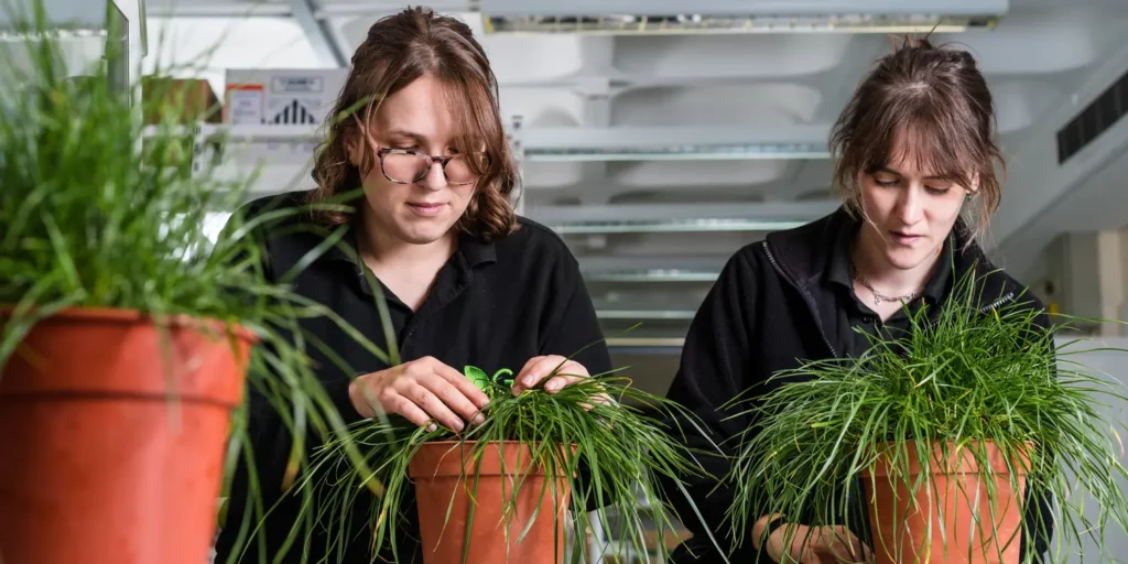 Germinal Horizon plant breeders working with pots.