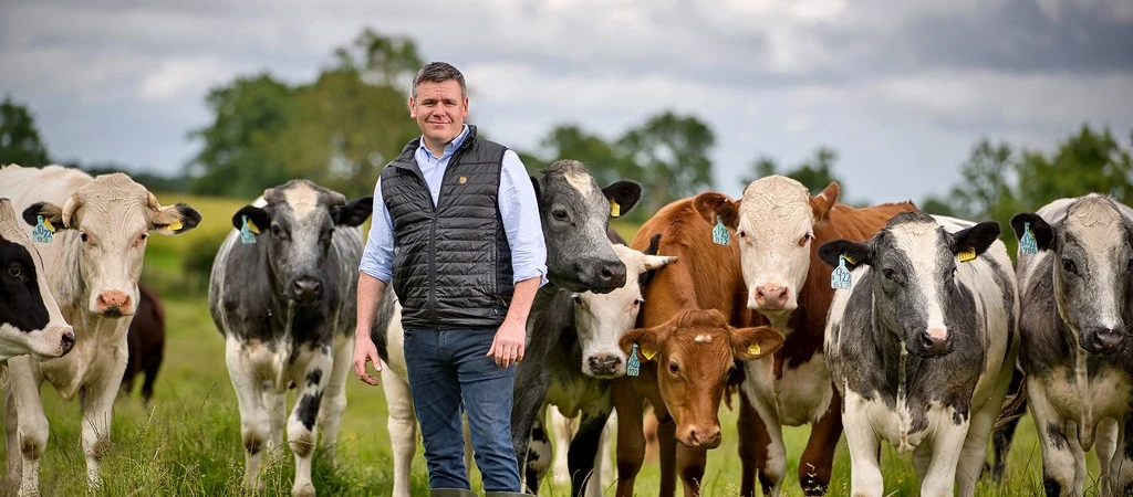 Beefing up sustainability Dylan Jones with cows