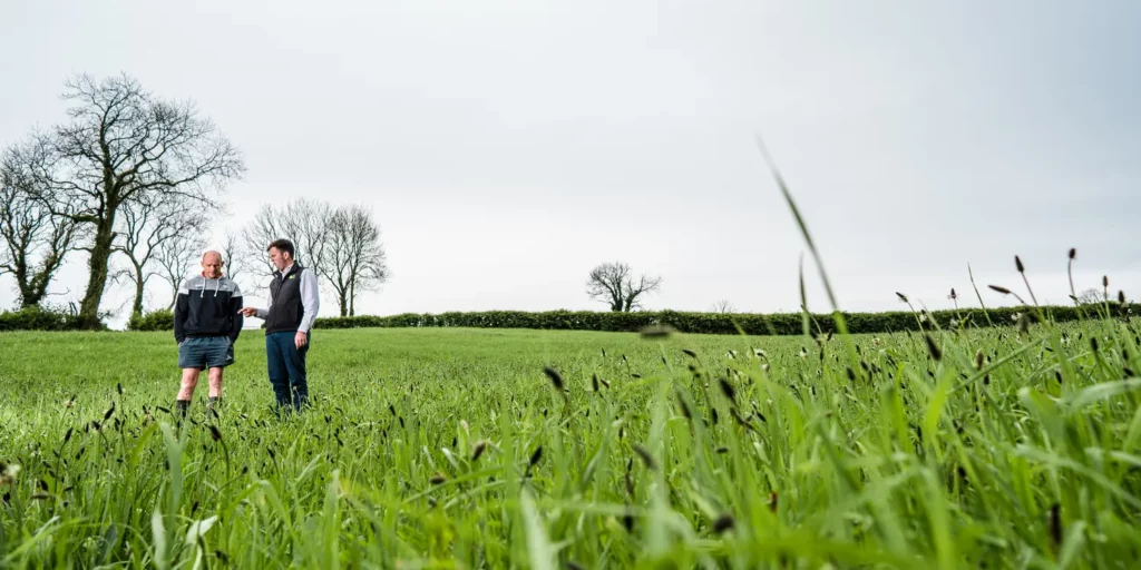 Two men inspecting a field in autumn